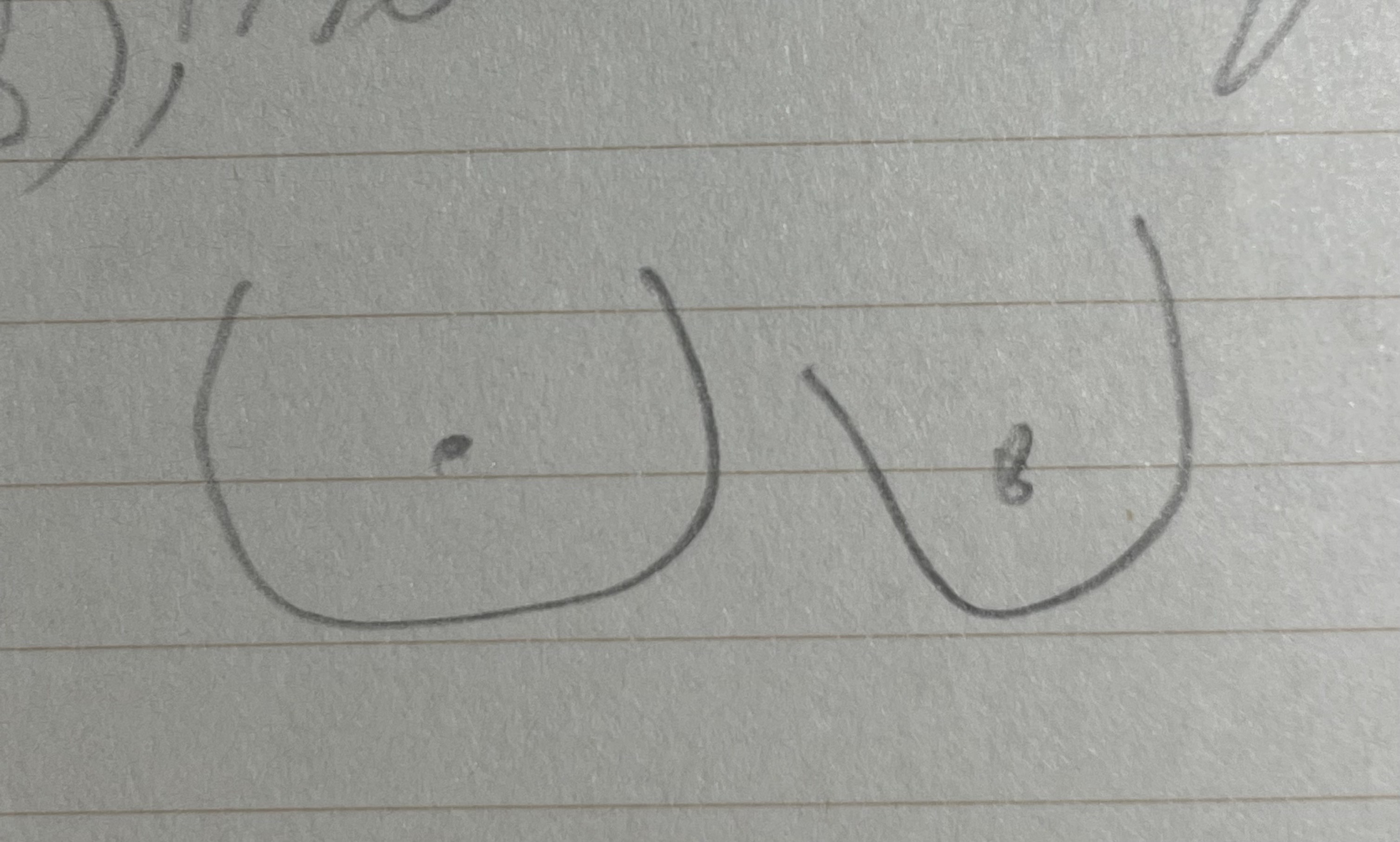 muse berardo coleção