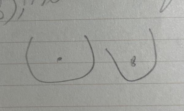 muse berardo coleção