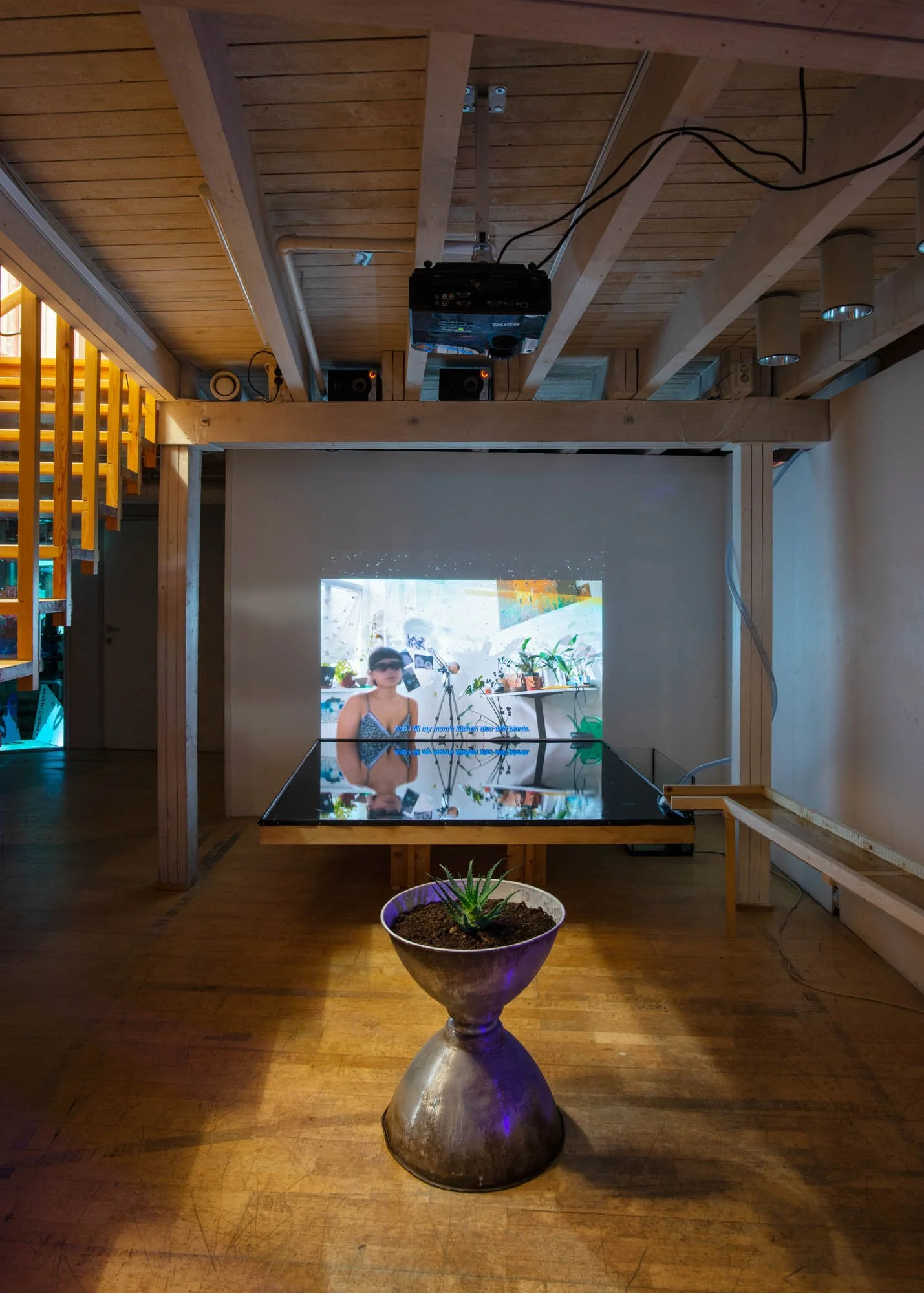 Hakapik exhibition review (in Norwegian)