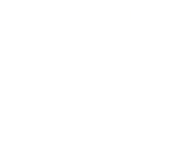 Orientalism(not) feat. Edward Said