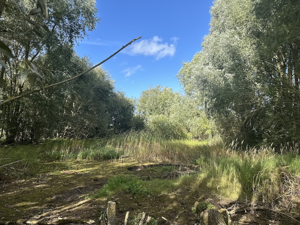 Seeds Residency 2025