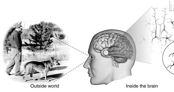 depression subroutines